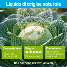 Carica l'immagine nel visualizzatore di Gallery, VerdeVivo Sapone Molle Potassico per Piante - 750ml. Sapone Molle di Potassio Naturale - Spray Pronto all'Uso per Orto, 