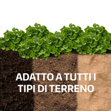Carica l'immagine nel visualizzatore di Gallery, LERAVA Dicondra semi (40m²) - Non richiede taglio - Estrema resistenza alla siccità - semi dicondra per prato ideali per