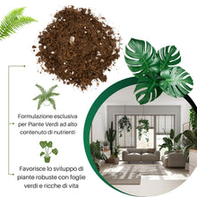 Carica l'immagine nel visualizzatore di Gallery, GebEarth® | Terriccio per Piante Verdi | Nutrimento Prolungato e Crescita Sana | Ideale per Monstera, Photos, Dracaena e
