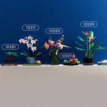 Carica l&#39;immagine nel visualizzatore di Gallery, LEGO Icons Piante Grasse Artificiali, Set per Adulti, Arredamento Casa, Hobby Creativo, Idea Regalo Uomo o Donna, Collezione Botanica per Costruire 9 Piccole Piante, Kit Bouquet di Fiori 10309
