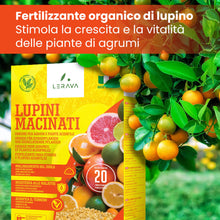 Carica l'immagine nel visualizzatore di Gallery, LERAVA® Lupini macinati (3,6 kg) - concime limoni biologico - acidificante suoli naturale - azione rapida per agrumi - m