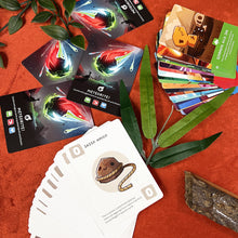 Carica l'immagine nel visualizzatore di Gallery, Asmodee – HAPPY LITTLE DINOSAURS – Carte da Gioco Strategico