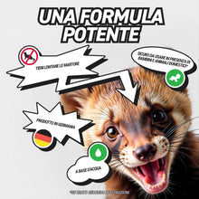 Carica l'immagine nel visualizzatore di Gallery, RepellShield Spray Repellente Topi e Anti Martora per Auto 250ml