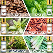 Carica l'immagine nel visualizzatore di Gallery, Set Di Oli Essenziali per Diffusori 12 X 5ML, Olio Essenziale Di Aromaterapia puri