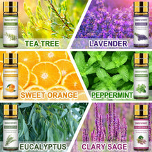 Carica l'immagine nel visualizzatore di Gallery, Set Di Oli Essenziali per Diffusori 12 X 5ML, Olio Essenziale Di Aromaterapia puri