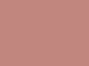 Sante Cosmetici naturali Lipstick Mat Matt Rossetto 01 Dusty Beige - Nude