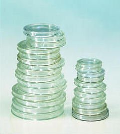 Capsule per monete 27,5 mm (10 pezzi) [Lindner 2250275], Polistirene qualità... - Ilgrandebazar