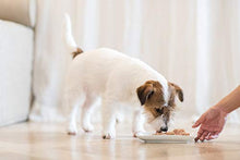 Carica l&#39;immagine nel visualizzatore di Gallery, Schesir, Cibo Umido per Cani Adulti al Gusto Pollo con Patate, Filetti in...