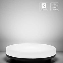 Carica l'immagine nel visualizzatore di Gallery, 1