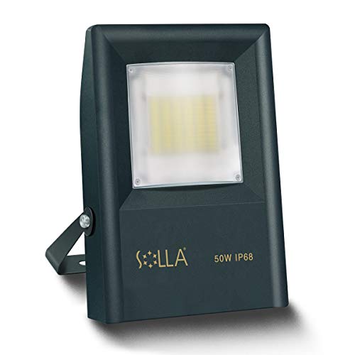 Faretto di Sicurezza Professionale da Esterno 50W contro Sovratensioni 4KV,...