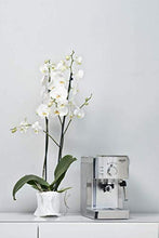 Carica l&#39;immagine nel visualizzatore di Gallery, Gaggia Viva Prestige Macchina da Caffè Espresso Manuale, per Macinato e...