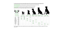 Carica l'immagine nel visualizzatore di Gallery, ARTISAN GIFT CO Corno di Cervo Ecologico da Masticare per Cani 100% 1 Unità