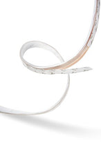 Carica l&#39;immagine nel visualizzatore di Gallery, Philips Lighting LightStrip Plus 1 m (Estensione per Kit Base da 2 m) - Ilgrandebazar