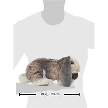 Carica l&#39;immagine nel visualizzatore di Gallery, Folkmanis Burattino Baby Lop a Forma di Coniglio - Ilgrandebazar