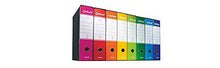 Carica l'immagine nel visualizzatore di Gallery, ESSELTE G83 OXFORD Registratore - f.to commerciale dorso 8 cm Dorso 8 cm, Blu - Ilgrandebazar