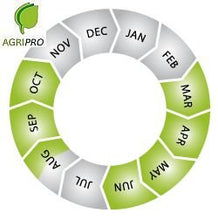 Carica l&#39;immagine nel visualizzatore di Gallery, Maciste - Sementi per tappeto erboso - Ideale zone aride - 1 Kg 1 kg - Ilgrandebazar