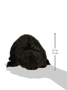 Beaver Puppet - Ilgrandebazar