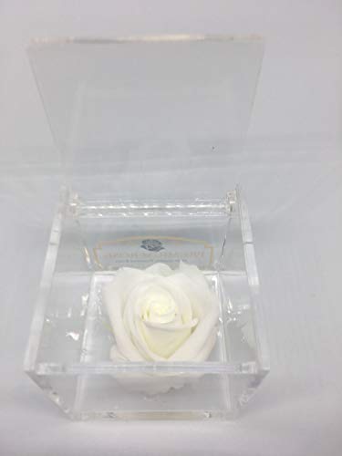 AA 1068 Cubo Rosa Stabilizzata Bianca 6cm 6x6x6 profumata, Il con una... - Ilgrandebazar