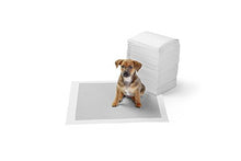 Carica l&#39;immagine nel visualizzatore di Gallery, AmazonBasics - Tappetini igienici con carbone attivo per Misura standard - Ilgrandebazar