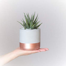 Carica l&#39;immagine nel visualizzatore di Gallery, Atelier Ideco - Rotonda Grigia Coperta E Rosegold Vaso Di Fiori Cemento,... - Ilgrandebazar