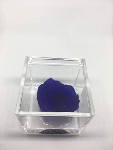 AA 1051 Cubo Rosa Stabilizzata Blu 5cm 5x5x5 profumata, Il con una Vera... - Ilgrandebazar