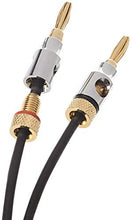 Carica l'immagine nel visualizzatore di Gallery, AmazonBasics - Cavo per altoparlanti con connettori a banana placcati 1,8 m