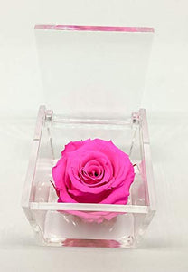 Cubo Rosa stabilizzata fucsia 5cm, profumata è una vera e propria che... - Ilgrandebazar