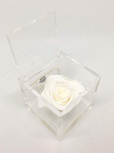 Cubo Rosa stabilizzata bianco 6cm, profumata è una vera e propria che... - Ilgrandebazar