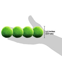 Carica l'immagine nel visualizzatore di Gallery, 5