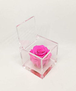 Cubo Rosa stabilizzata fucsia 5cm, profumata è una vera e propria che... - Ilgrandebazar