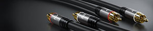 Primewire - 5m Cavo RCA Stereo - 2X Maschio a -