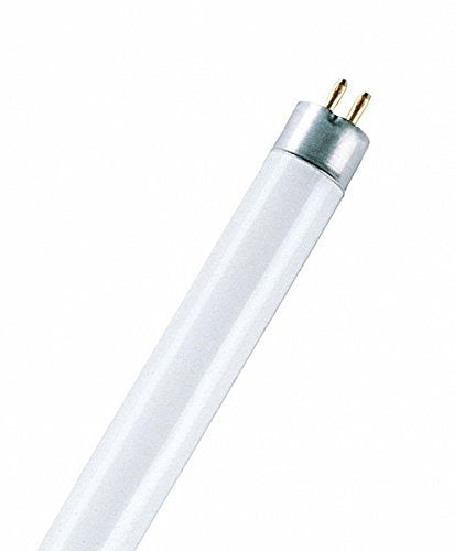 Osram Lumilux T5 Short G5 L 8 W/840 Lampada fluorescente - Ilgrandebazar