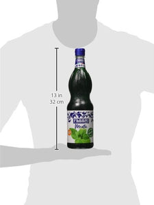 Fabbri Sciroppo Menta 1l