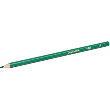 Carica l'immagine nel visualizzatore di Gallery, Bic Kids Aquacouleur Matite Colorate Acquerellabili Confezione da 24 Matite...