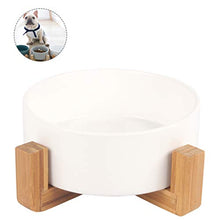 Carica l'immagine nel visualizzatore di Gallery, Petxt - Ciotola in ceramica rialzata per cuccioli di gatto, altezza bianco