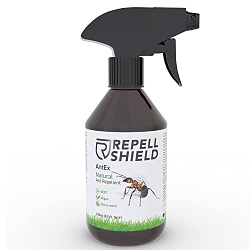 Repell Shield Spray Antiformiche Interni ed Esterni per Tutte le Super –