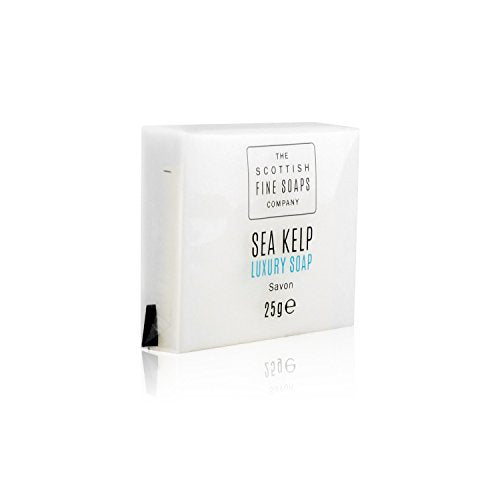Sea Kelp Luxury Soap mini hotel Guest Toiletries Travel size, 25 g... - Ilgrandebazar