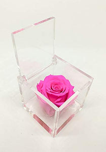 Cubo Rosa stabilizzata fucsia 5cm, profumata è una vera e propria che... - Ilgrandebazar