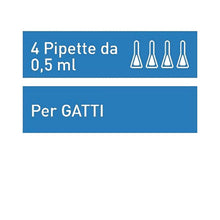 Carica l'immagine nel visualizzatore di Gallery, 1