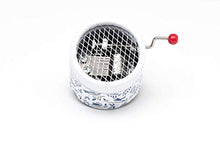 Carica l&#39;immagine nel visualizzatore di Gallery, Piccolo carillon manuale Carillon bianco decorato con uccelli che cantano... - Ilgrandebazar