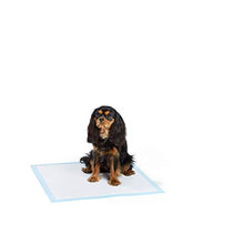 Carica l'immagine nel visualizzatore di Gallery, AmazonBasics - Tappetini da addestramento per animali domestici e Normale