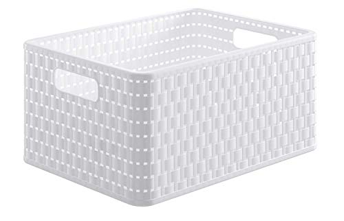 Rotho Contenitore Country Box, Effetto Rattan, Bianco box A4 / 18 L,