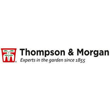 Carica l&#39;immagine nel visualizzatore di Gallery, Thompson &amp; Morgan Crescere Kit Regalo Scatole - Esotico Frutta - Ilgrandebazar