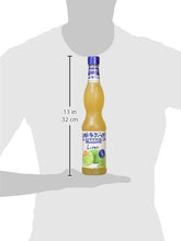 Carica l&#39;immagine nel visualizzatore di Gallery, Fabbri Sciroppo Lime 560ml