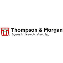 Carica l&#39;immagine nel visualizzatore di Gallery, Thompson &amp; Morgan Crescere Kit Regalo Scatole - Esotico Frutta - Ilgrandebazar