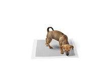 Carica l&#39;immagine nel visualizzatore di Gallery, AmazonBasics - Tappetini igienici con carbone attivo per Misura standard - Ilgrandebazar