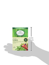 Carica l&#39;immagine nel visualizzatore di Gallery, L&#39;Angelica Tisana Solubile Linea - 20 Filtri da 5 gr [100 gr]