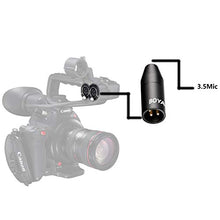 Carica l&#39;immagine nel visualizzatore di Gallery, BOYA 35C-XLR 3,5 mm (TRS) Mini-Jack femmina Adattatore per microfono a... - Ilgrandebazar