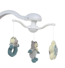 Carica l&#39;immagine nel visualizzatore di Gallery, Foppapedretti Carillon Sdraietta Altalena, Teddy