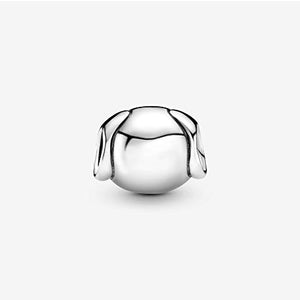 Pandora Accessori Donna Argento 925 - Ilgrandebazar